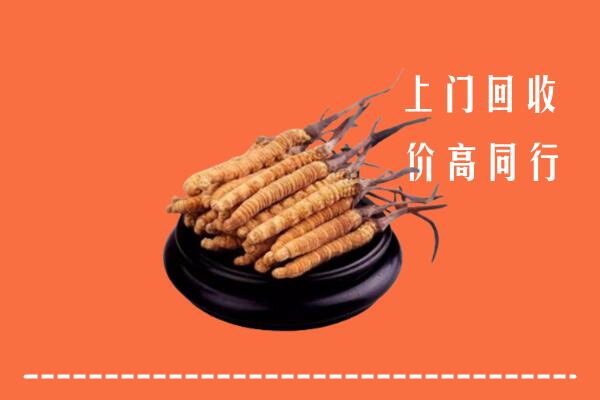 高价求购：师宗县回收散虫草
