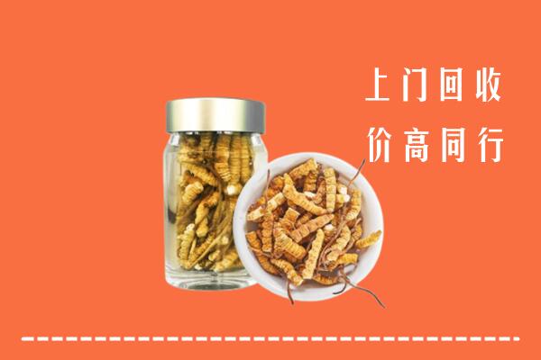 师宗县回收冬虫夏草